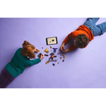 71826 - Ninjago - Dragon Spinjitzu Battle Pack