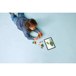 77058 - Animal Crossing - Goldie's Cozy House