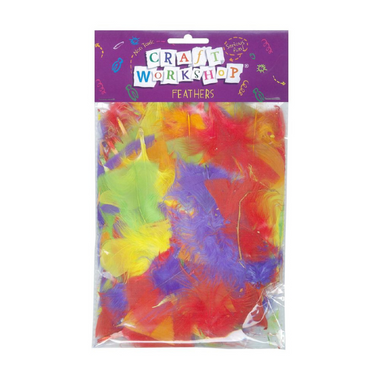 Craft - Colourful Feathers 16g