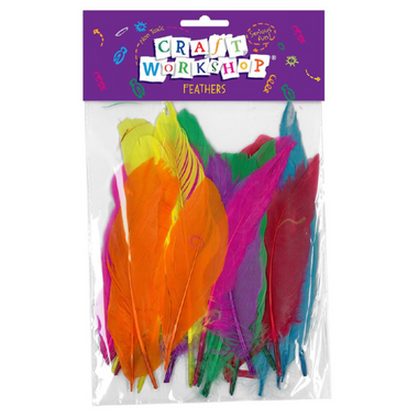 Craft - Colourful Large Feathers