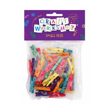 Craft - Colourful Small Pegs
