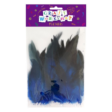 Craft - Feathers Blue-Black