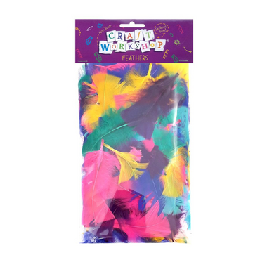 Craft - Feathers PinkPurpleYellowAqua