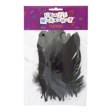 Craft - Large Black Feathers 40pc