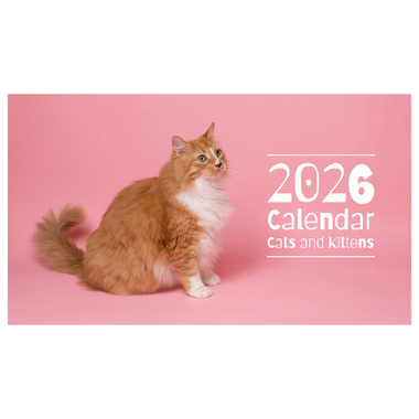 Desktop Calendar Cats and Kittens