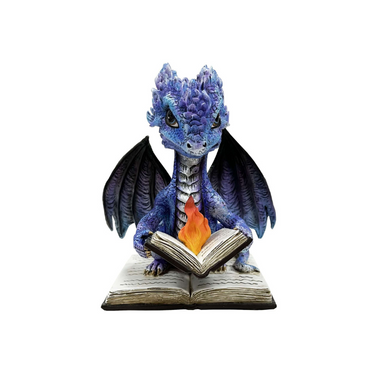 Dragon Reading Book on Fire
