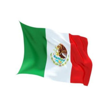 Flag Mexico Indoor Wall 5x3