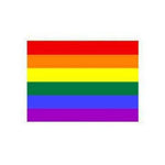Flag Rainbow Indoor Wall 5x3