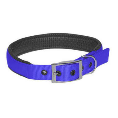 Nylon Collar Padded 19 x 485mm - Blue