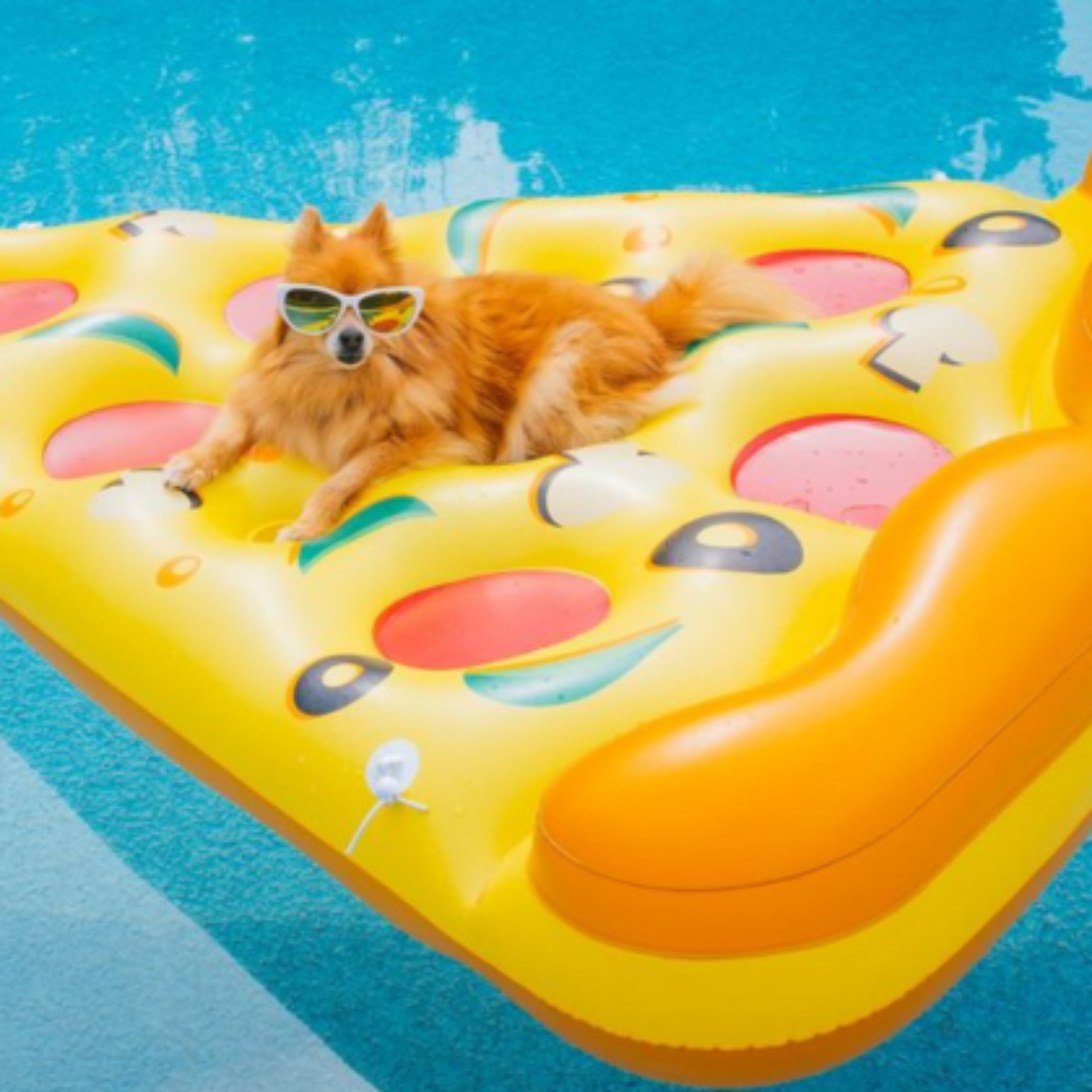 Pool Accessories