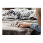 Schleich - Arctic Wolf
