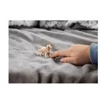 Schleich - Arctic Wolf Cub