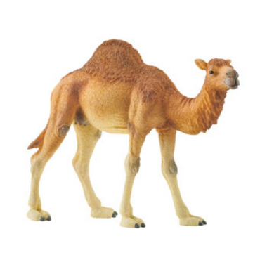 Schleich - Dromedary (Grey Dot)