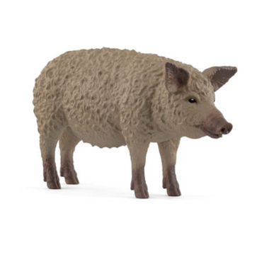Schleich - Mangalica