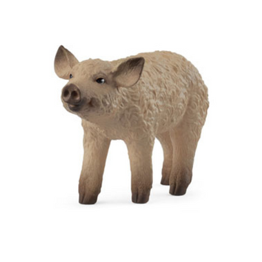 Schleich - Mangalica Piglet