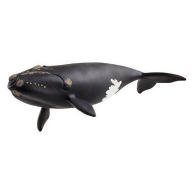 Schleich - North Atlantic Right Whale