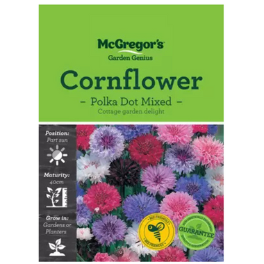 Seeds M2170 Cornflower - Polka Dot