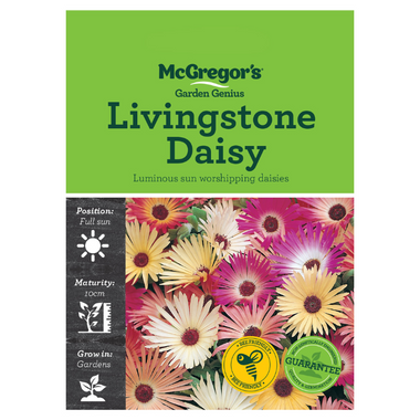 Seeds M2420 Livingstone Daisy Flower