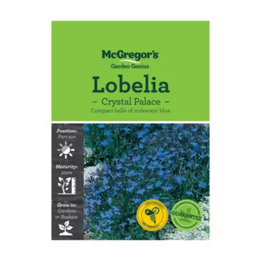 Seeds M2440 Lobelia - Crystal Palace