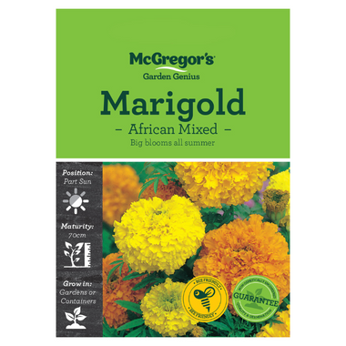 Seeds M2500 Marigold - African Mixed