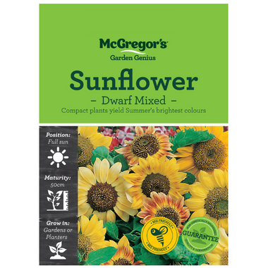 Seeds M2840 Sunflower - Dwarf Mixed