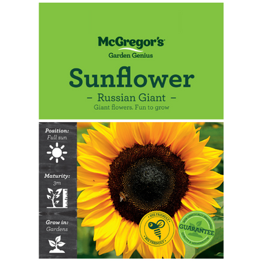Seeds M2860 Sunflower - Russian Giant