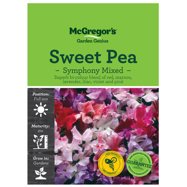 Seeds M2904 Sweet Pea - Symphony Mixed