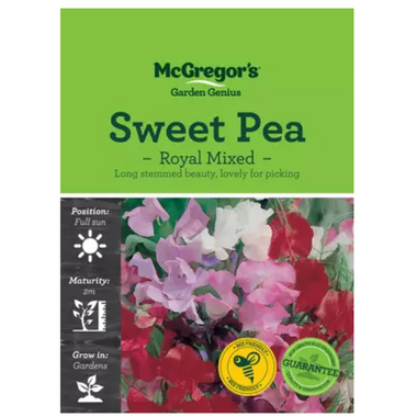 Seeds M2940 Sweet Pea - Royal Mixed