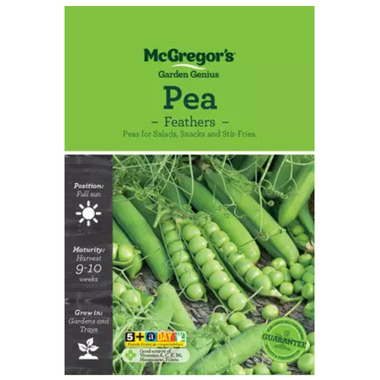 Seeds M5623 Pea - Feathers