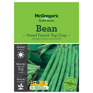 Seeds M6060 Bean - Dwarf French Top Crop