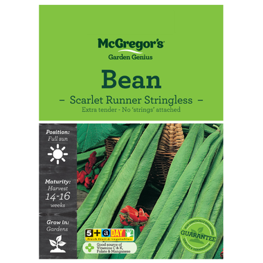 Seeds M6082 Bean - Stringless Scarlet Run