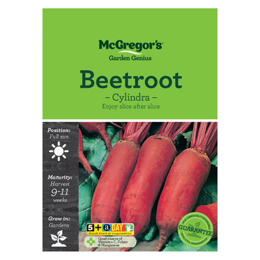 Seeds M6100 Beetroot - Cylinda