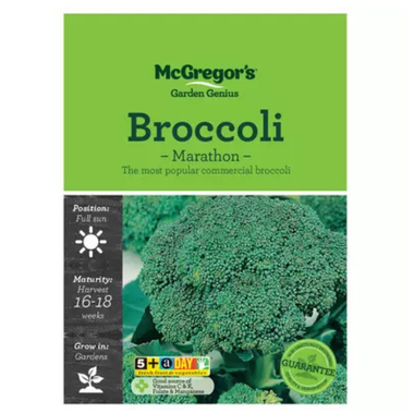 Seeds M6160 Broccoli - Marathon