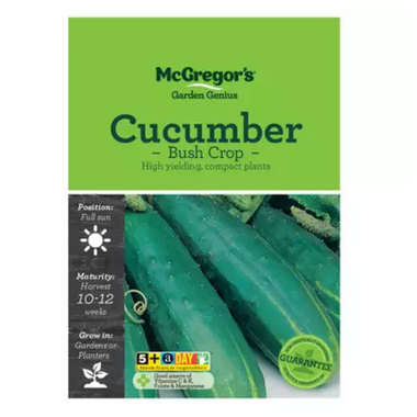 Seeds M6340 Cucumber - Bushcrop