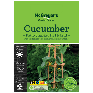 Seeds M6350 Cucumber - Patio Snacker