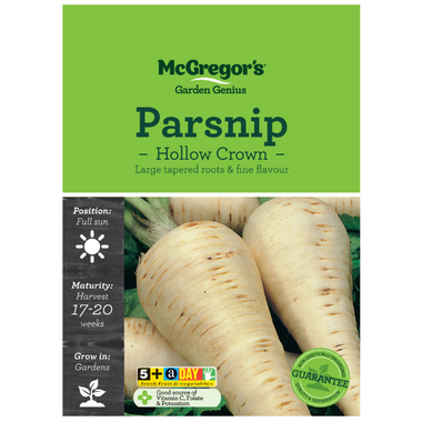 Seeds M6560 Parsnip - Hollow Crown