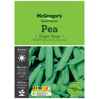 Seeds M6646 Peas - Sugar Snap