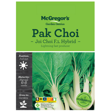 Seeds M6651 Pak Choi - Joi Choi F.1. Hybrid
