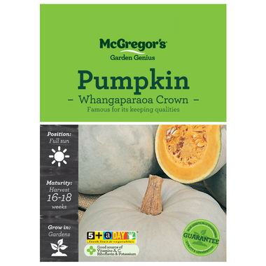 Seeds M6660 Pumpkin - Whangaparaoa Crown