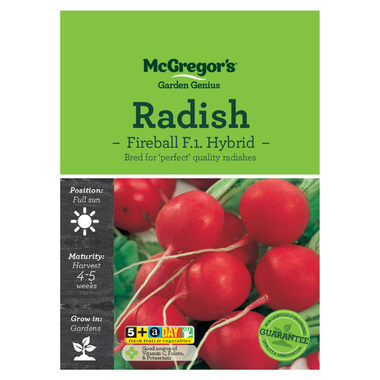 Seeds M6725 Radish - Fireball F.1. Hybrid