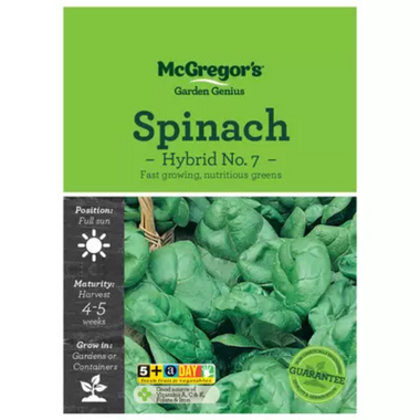 Seeds M6800 Spinach - Hybrid No.7