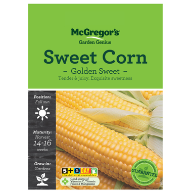 Seeds M6860 Sweetcorn - Golden Sweet
