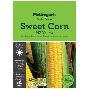 Seeds M6889 Sweet Corn - NZ Yellow