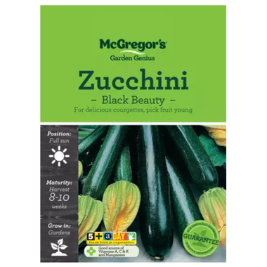 Seeds M6950 Zucchini - Black Beauty