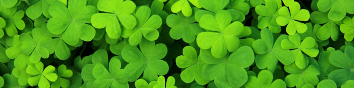 St Patricks Day