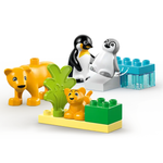 10442 - Duplo - Wild Animal Families Penguins & Lions
