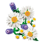 11508 Botanical - Daisies