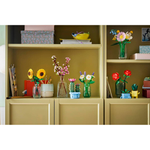 11508 Botanical - Daisies