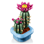 11509 Botanical - Flowering Cactus
