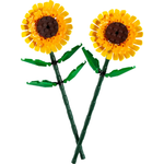 40524 - Sunflowers